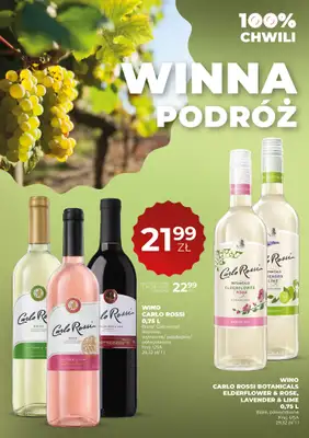 Duży Ben - gazetka promocyjna Gazetka alkoholowa od czwartku 19.03 do środy 01.04 - strona 4