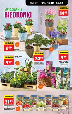 Biedronka - gazetka promocyjna Od czwartku od czwartku 19.03 do środy 25.03 - strona 77