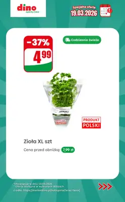 Dino - gazetka promocyjna Specjalna oferta na 19.03.2026 - promocje spoza gazetki od czwartku 19.03 do czwartku 19.03 - strona 4