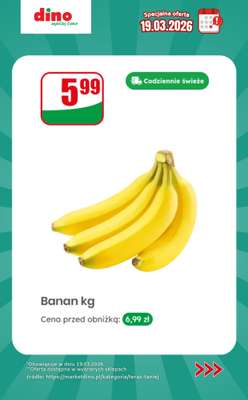 Dino - gazetka promocyjna Specjalna oferta na 19.03.2026 - promocje spoza gazetki od czwartku 19.03 do czwartku 19.03 - strona 2