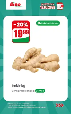 Dino - gazetka promocyjna Specjalna oferta na 19.03.2026 - promocje spoza gazetki od czwartku 19.03 do czwartku 19.03 - strona 10