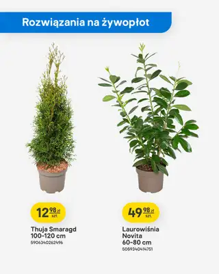 Castorama - gazetka promocyjna Ogród od środy 18.03 do poniedziałku 06.04 - strona 22