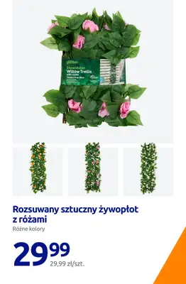 Action - gazetka promocyjna Najpiękniejszy ogród! od czwartku 19.03 do wtorku 24.03 - strona 18