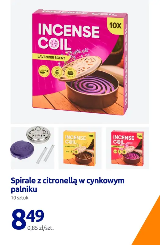 Action - gazetka promocyjna Najpiękniejszy ogród! od czwartku 19.03 do wtorku 24.03 - strona 13