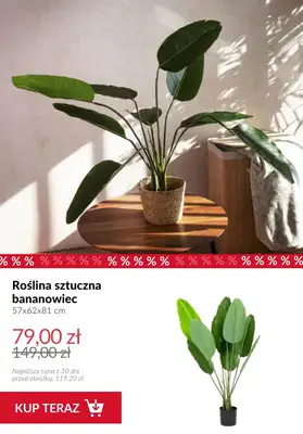 Homla - gazetka promocyjna Produkty na balkon od czwartku 19.03  - strona 11