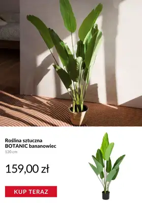 Homla - gazetka promocyjna Produkty na balkon od czwartku 19.03  - strona 7