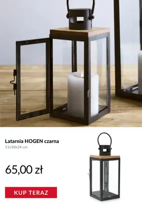 Homla - gazetka promocyjna Produkty na balkon od czwartku 19.03  - strona 8