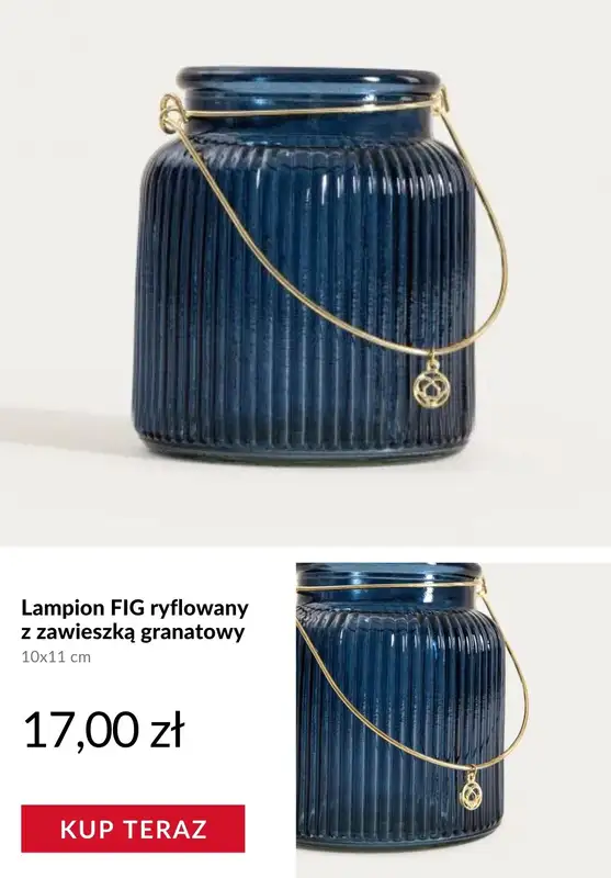 Homla - gazetka promocyjna Produkty na balkon od czwartku 19.03  - strona 9