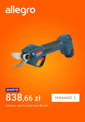 Allegro - gazetka promocyjna Wiosenne porządki od piątku 20.03 do czwartku 26.03 - strona 4