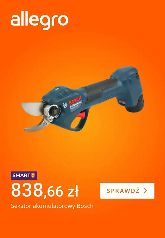 Allegro - gazetka promocyjna Wiosenne porządki od piątku 20.03 do czwartku 26.03 - strona 4