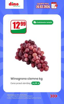 Dino - gazetka promocyjna Specjalna oferta na 20.03.2026 - promocje spoza gazetki od piątku 20.03 do piątku 20.03 - strona 2