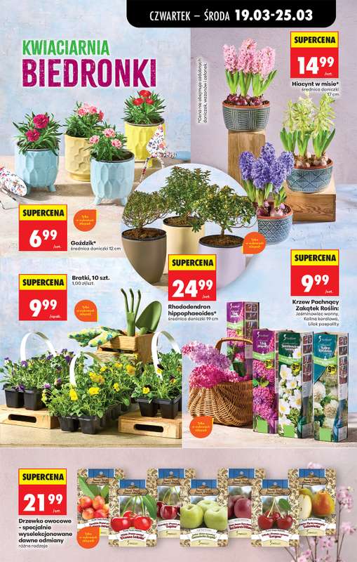Biedronka - gazetka promocyjna Od czwartku, Z ladą tradycyjną od czwartku 19.03 do środy 25.03 - strona 79