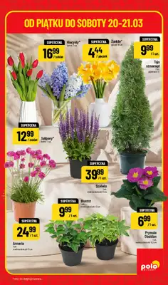 POLOmarket - gazetka promocyjna Super hity na weekend od piątku 20.03 do soboty 21.03 - strona 5