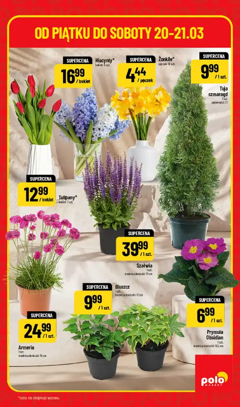 POLOmarket - gazetka promocyjna Super hity na weekend od piątku 20.03 do soboty 21.03 - strona 5