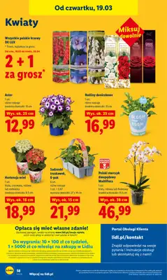 Lidl - gazetka promocyjna Oferta od czwartku od czwartku 19.03 do soboty 21.03 - strona 60