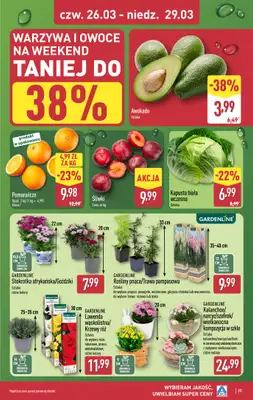 Aldi - gazetka promocyjna Pełny katalog! od poniedziałku 23.03 do niedzieli 29.03 - strona 35