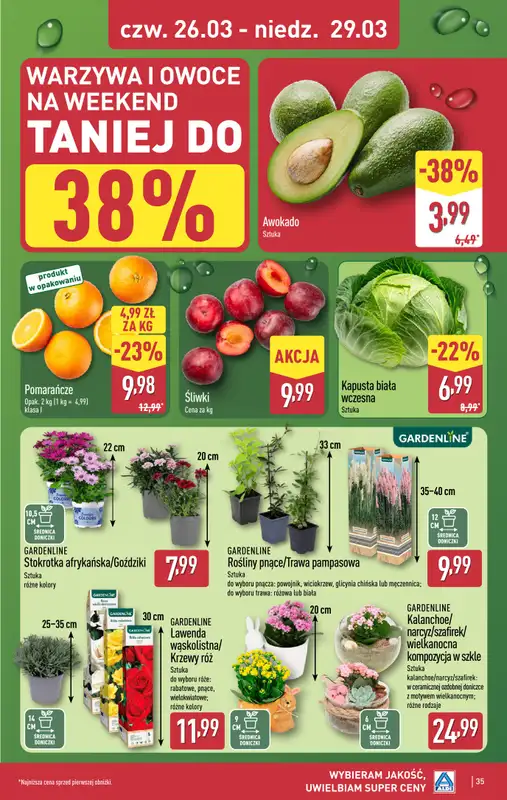 Aldi - gazetka promocyjna Pełny katalog! od poniedziałku 23.03 do niedzieli 29.03 - strona 35