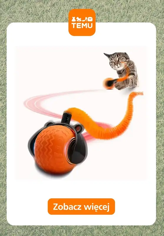 Temu - gazetka promocyjna Zabawki dla zwierząt od piątku 20.03  - strona 9