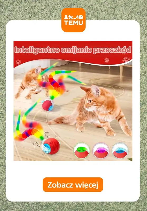 Temu - gazetka promocyjna Zabawki dla zwierząt od piątku 20.03  - strona 11