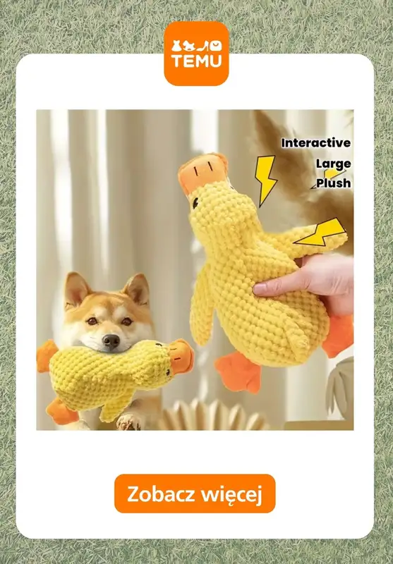 Temu - gazetka promocyjna Zabawki dla zwierząt   - strona 3