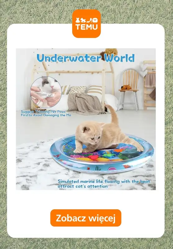 Temu - gazetka promocyjna Zabawki dla zwierząt od piątku 20.03  - strona 4