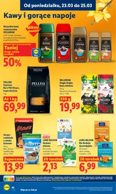 Lidl - gazetka promocyjna Oferta od poniedziałku od poniedziałku 23.03 do środy 25.03 - strona 42