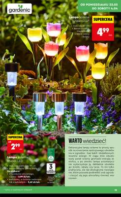 Biedronka - gazetka promocyjna Hity i Inspiracje do ogrodu od poniedziałku 23.03 do soboty 04.04 - strona 19