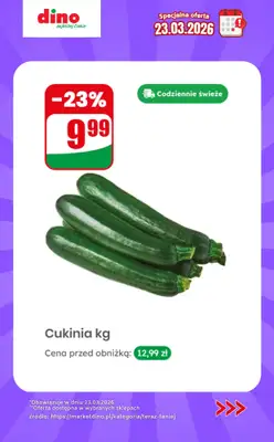 Dino - gazetka promocyjna Specjalna oferta na 23.03.2026 - promocje spoza gazetki od poniedziałku 23.03 do poniedziałku 23.03 - strona 3