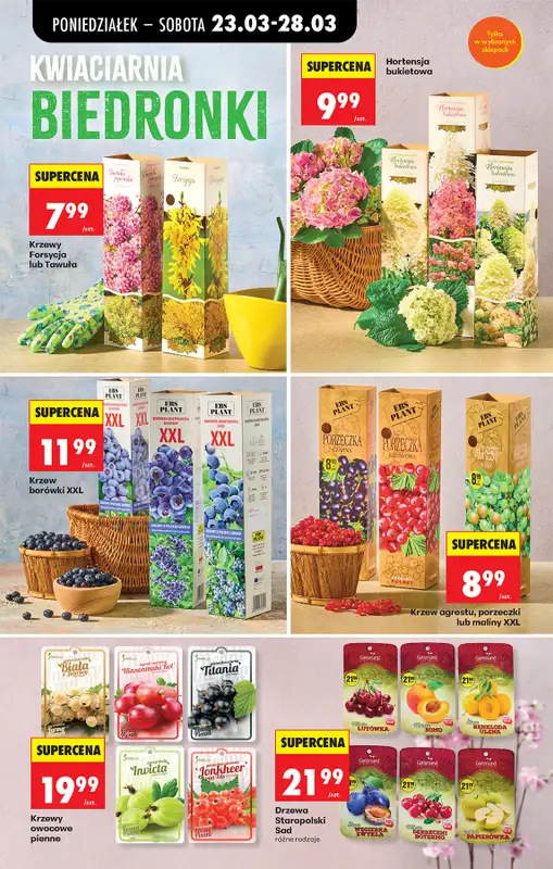 Biedronka - gazetka promocyjna Od poniedziałku od poniedziałku 23.03 do niedzieli 29.03 - strona 14
