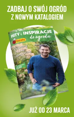 Biedronka - gazetka promocyjna Hity i inspiracje, od 21.03 od soboty 21.03 do środy 08.04 - strona 3