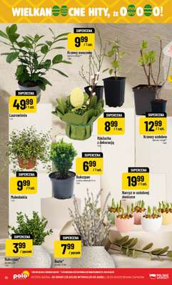 POLOmarket - gazetka promocyjna Gazetka od środy 25.03 do wtorku 31.03 - strona 10