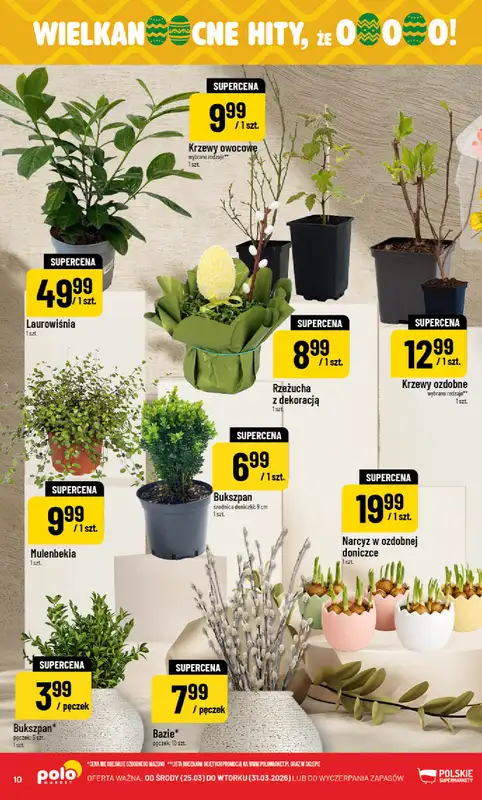 POLOmarket - gazetka promocyjna Gazetka od środy 25.03 do wtorku 31.03 - strona 10