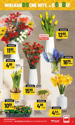 POLOmarket - gazetka promocyjna Gazetka od środy 25.03 do wtorku 31.03 - strona 11