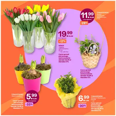 Frisco - gazetka promocyjna Gazetka od poniedziałku 23.03 do niedzieli 05.04 - strona 6