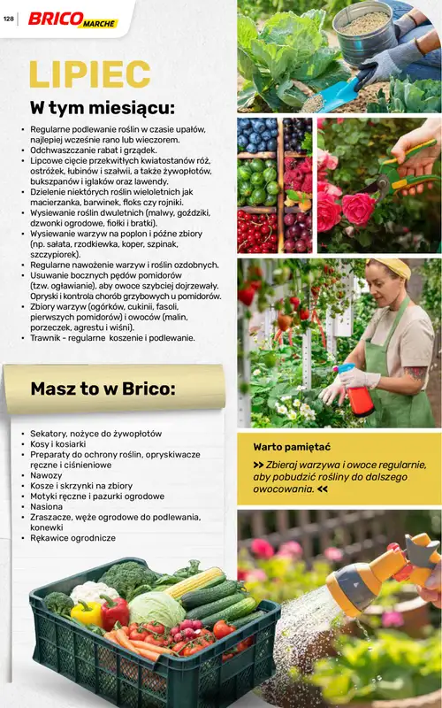 Bricomarche - gazetka promocyjna Katalog ogród  do niedzieli 16.08 - strona 128