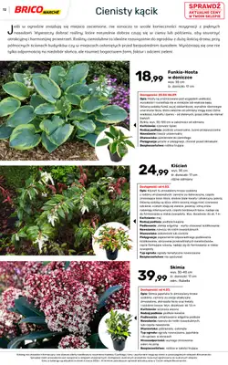 Bricomarche - gazetka promocyjna Katalog ogród  do niedzieli 16.08 - strona 72