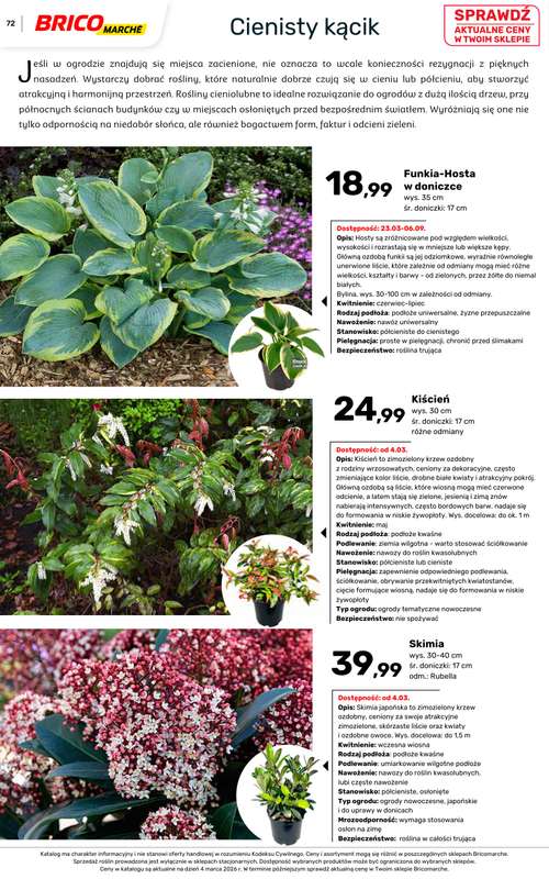 Bricomarche - gazetka promocyjna Katalog ogród  do niedzieli 16.08 - strona 72