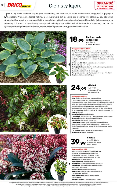 Bricomarche - gazetka promocyjna Katalog ogród  do niedzieli 16.08 - strona 72