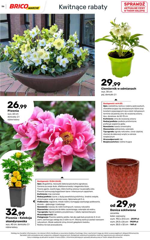 Bricomarche - gazetka promocyjna Katalog ogród  do niedzieli 16.08 - strona 56