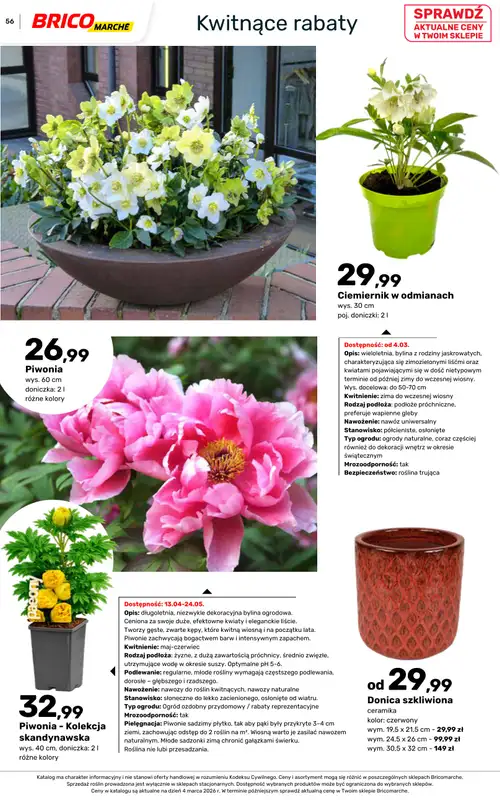 Bricomarche - gazetka promocyjna Katalog ogród  do niedzieli 16.08 - strona 56