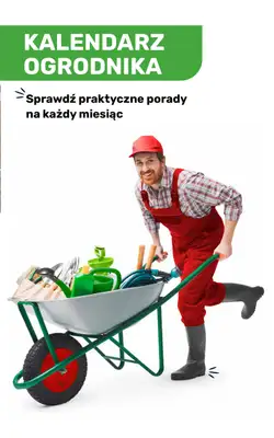 Bricomarche - gazetka promocyjna Katalog ogród  do niedzieli 16.08 - strona 121