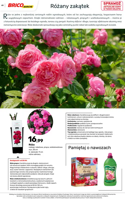 Bricomarche - gazetka promocyjna Katalog ogród  do niedzieli 16.08 - strona 65