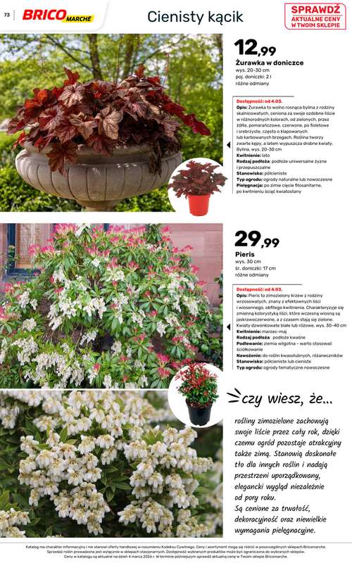 Bricomarche - gazetka promocyjna Katalog ogród  do niedzieli 16.08 - strona 73