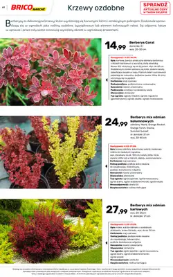 Bricomarche - gazetka promocyjna Katalog ogród  do niedzieli 16.08 - strona 61