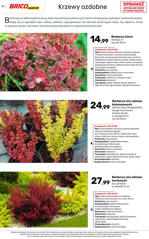 Bricomarche - gazetka promocyjna Katalog ogród  do niedzieli 16.08 - strona 61