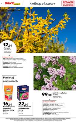 Bricomarche - gazetka promocyjna Katalog ogród  do niedzieli 16.08 - strona 57