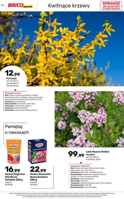 Bricomarche - gazetka promocyjna Katalog ogród  do niedzieli 16.08 - strona 57