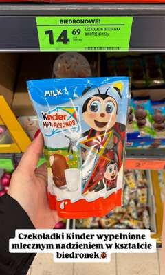 Biedronka - gazetka promocyjna Zakupowe Inspiracje w Biedronce od piątku 27.03  - strona 12