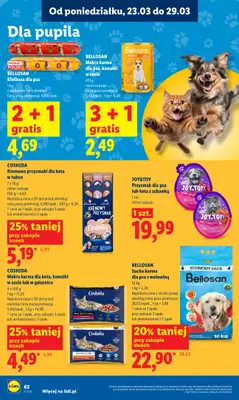 Lidl - gazetka promocyjna Oferta od poniedziałku od poniedziałku 23.03 do środy 25.03 - strona 62