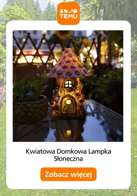 Temu - gazetka promocyjna Oświetlenie ogrodu od wtorku 24.03  - strona 3